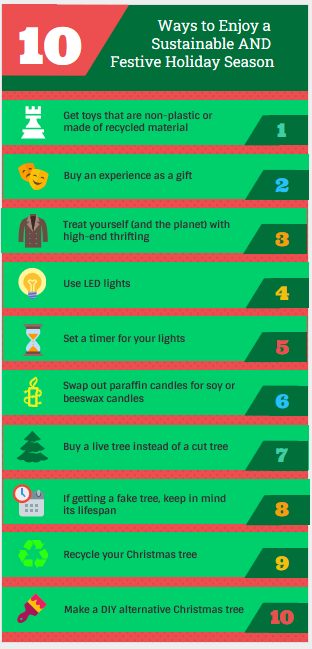 Holiday Sustainability Ideas infographic