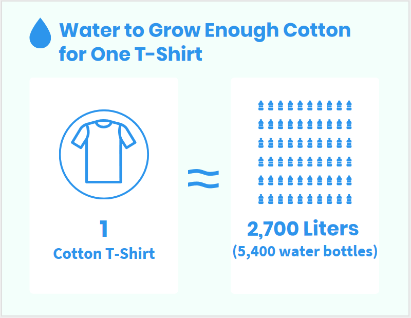 Cotton t-shirt production infographic