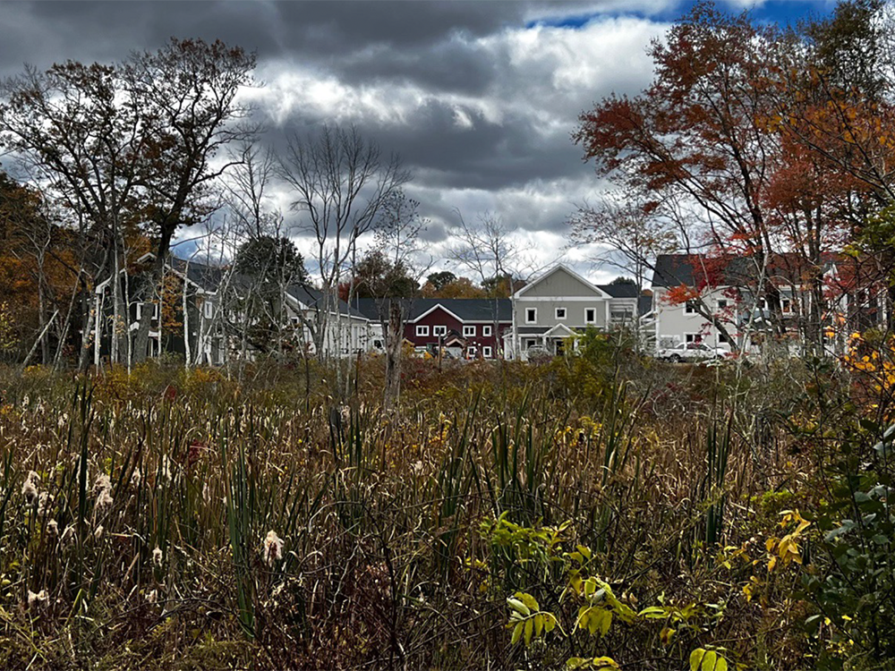 Autumn landscape at Eagleville Green featuring gray, red, and white residential buildings in the background, surrounded by tall grasses and vibrant fall foliage in shades of orange and yellow under a partly cloudy sky.