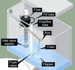 Image of toilet with components labeled