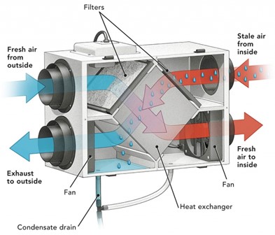 a diagram of a typical ERV