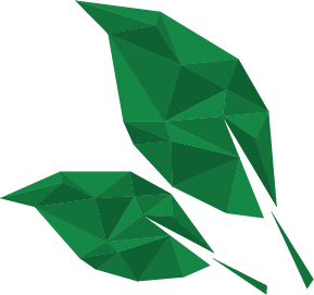 WinterGreen Leaves