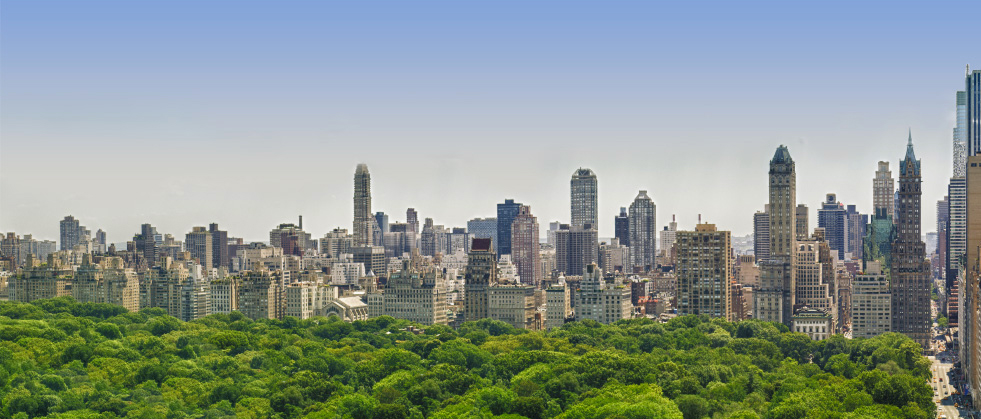 Image of central park and New York City buildigns