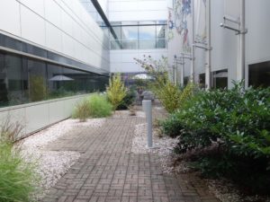 Accessible courtyard