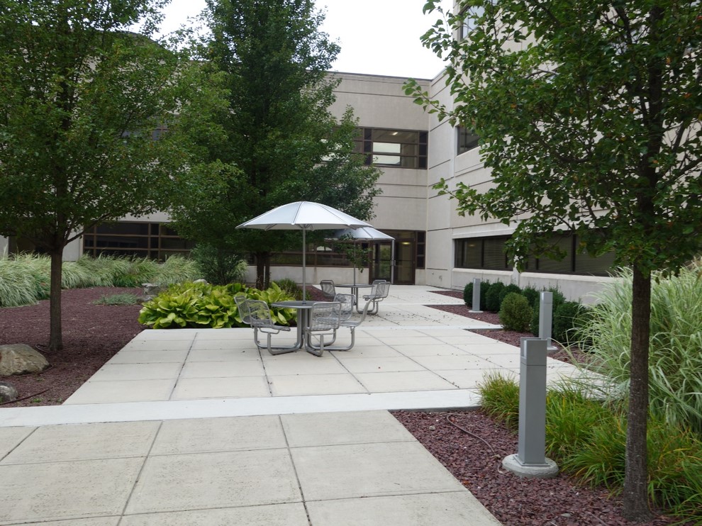 Concrete courtyard surrounded by planting beds with tables at intervals throughout the courtyard.